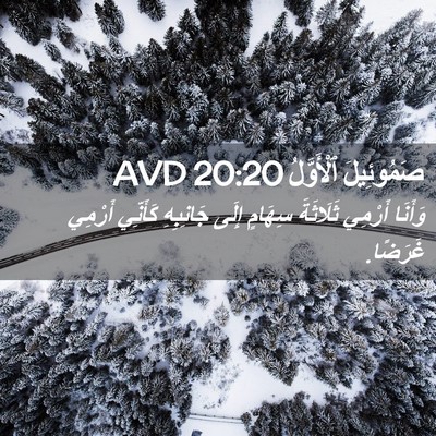 Picture 02 - صَمُوئِيلَ ٱلْأَوَّلُ 20:20 AVD - وَأَنَا أَرْمِي ثَلَاثَةَ - Bible Verse Picture