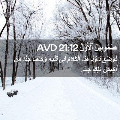 Picture 02 - صَمُوئِيلَ ٱلْأَوَّلُ 21:12 AVD - فَوَضَعَ دَاوُدُ هَذَا - Bible Verse Picture