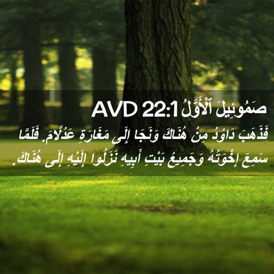 Picture 02 - صَمُوئِيلَ ٱلْأَوَّلُ 22:1 AVD - فَذَهَبَ دَاوُدُ مِنْ - Bible Verse Picture