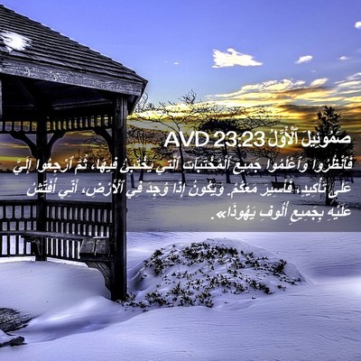 Picture 02 - صَمُوئِيلَ ٱلْأَوَّلُ 23:23 AVD - فَٱنْظُرُوا وَٱعْلَمُوا - Bible Verse Picture