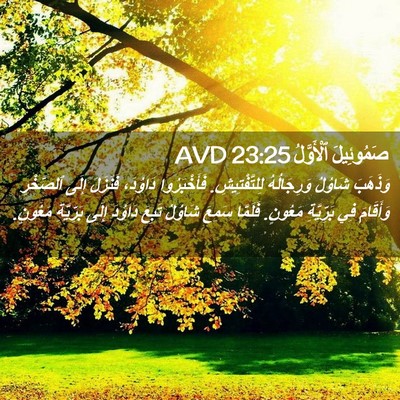 Picture 02 - صَمُوئِيلَ ٱلْأَوَّلُ 23:25 AVD - وَذَهَبَ شَاوُلُ - Bible Verse Picture
