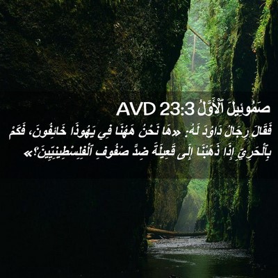 Picture 02 - صَمُوئِيلَ ٱلْأَوَّلُ 23:3 AVD - فَقَالَ رِجَالُ دَاوُدَ - Bible Verse Picture