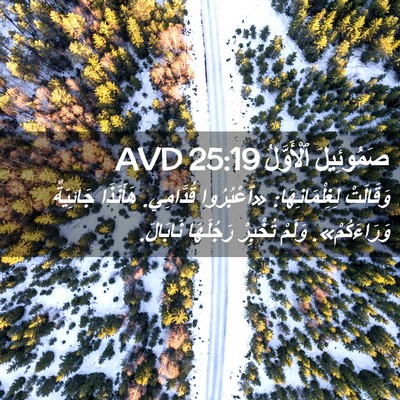Picture 02 - صَمُوئِيلَ ٱلْأَوَّلُ 25:19 AVD - وَقَالَتْ لِغِلْمَانِهَا: - Bible Verse Picture