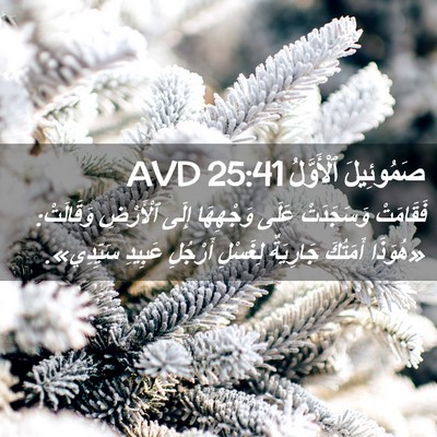 Picture 02 - صَمُوئِيلَ ٱلْأَوَّلُ 25:41 AVD - فَقَامَتْ وَسَجَدَتْ - Bible Verse Picture