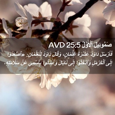 Picture 02 - صَمُوئِيلَ ٱلْأَوَّلُ 25:5 AVD - فَأَرْسَلَ دَاوُدُ - Bible Verse Picture
