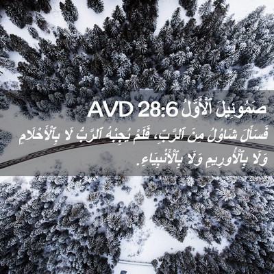 Picture 02 - صَمُوئِيلَ ٱلْأَوَّلُ 28:6 AVD - فَسَأَلَ شَاوُلُ مِنَ - Bible Verse Picture