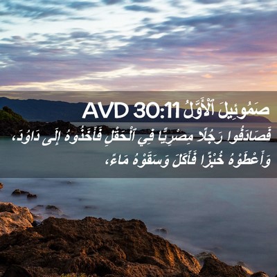 Picture 02 - صَمُوئِيلَ ٱلْأَوَّلُ 30:11 AVD - فَصَادَفُوا رَجُلًا - Bible Verse Picture