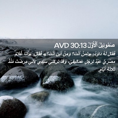 Picture 02 - صَمُوئِيلَ ٱلْأَوَّلُ 30:13 AVD - فَقَالَ لَهُ دَاوُدُ: - Bible Verse Picture