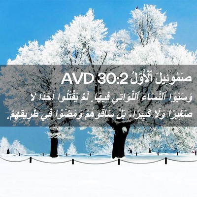 Picture 02 - صَمُوئِيلَ ٱلْأَوَّلُ 30:2 AVD - وَسَبَوْا ٱلنِّسَاءَ - Bible Verse Picture