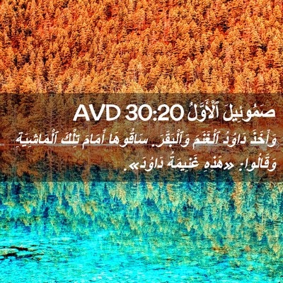 Picture 02 - صَمُوئِيلَ ٱلْأَوَّلُ 30:20 AVD - وَأَخَذَ دَاوُدُ - Bible Verse Picture