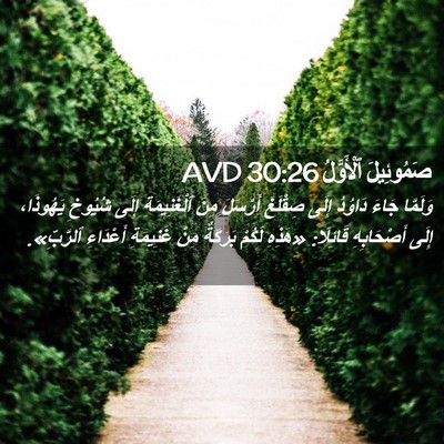Picture 02 - صَمُوئِيلَ ٱلْأَوَّلُ 30:26 AVD - وَلَمَّا جَاءَ دَاوُدُ - Bible Verse Picture