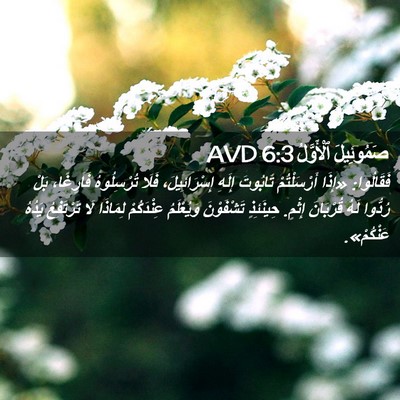 Picture 02 - صَمُوئِيلَ ٱلْأَوَّلُ 6:3 AVD - فَقَالُوا: «إِذَا - Bible Verse Picture