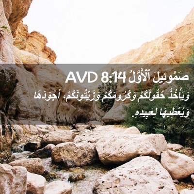 Picture 02 - صَمُوئِيلَ ٱلْأَوَّلُ 8:14 AVD - وَيَأْخُذُ حُقُولَكُمْ - Bible Verse Picture