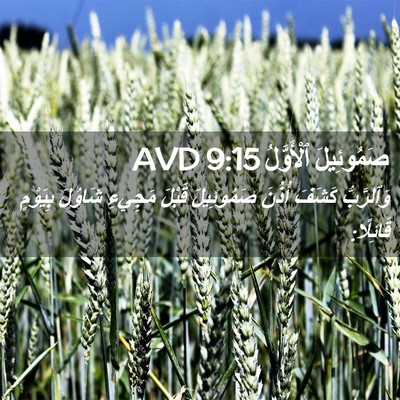 Picture 02 - صَمُوئِيلَ ٱلْأَوَّلُ 9:15 AVD - وَٱلرَّبُّ كَشَفَ أُذُنَ - Bible Verse Picture