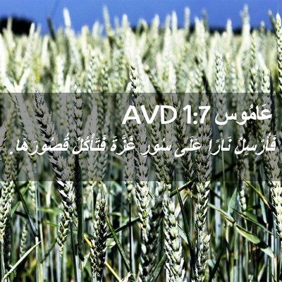 Picture 02 - عَامُوس 1:7 AVD - فَأُرْسِلُ نَارًا عَلَى - Bible Verse Picture