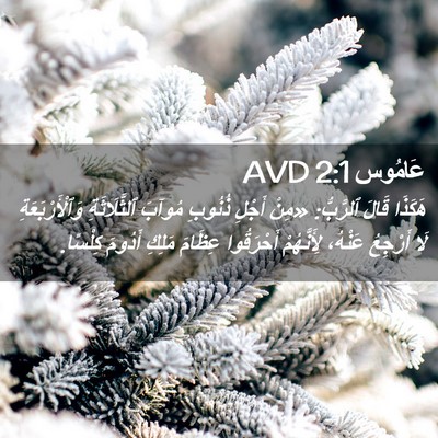 Picture 02 - عَامُوس 2:1 AVD - هَكَذَا قَالَ ٱلرَّبُّ: - Bible Verse Picture