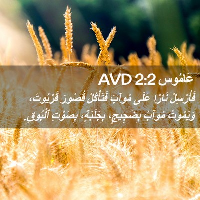 Picture 02 - عَامُوس 2:2 AVD - فَأُرْسِلُ نَارًا عَلَى - Bible Verse Picture