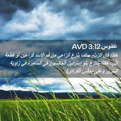 Picture 02 - عَامُوس 3:12 AVD - هَكَذَا قَالَ ٱلرَّبُّ: - Bible Verse Picture