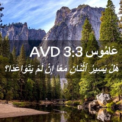 Picture 02 - عَامُوس 3:3 AVD - هَلْ يَسِيرُ ٱثْنَانِ - Bible Verse Picture