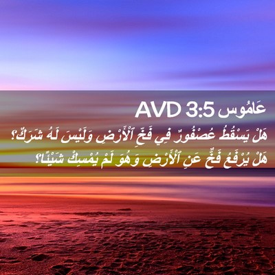 Picture 02 - عَامُوس 3:5 AVD - هَلْ يَسْقُطُ عُصْفُورٌ - Bible Verse Picture