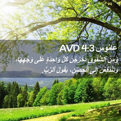 Picture 02 - عَامُوس 4:3 AVD - وَمِنَ ٱلشُّقُوقِ - Bible Verse Picture