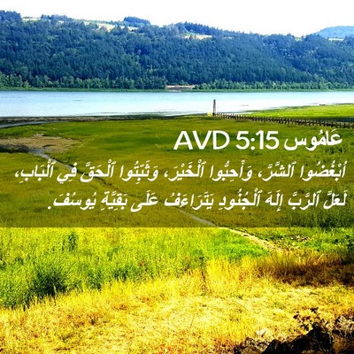 Picture 02 - عَامُوس 5:15 AVD - اُبْغُضُوا ٱلشَّرَّ، - Bible Verse Picture
