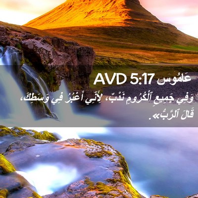 Picture 02 - عَامُوس 5:17 AVD - وَفِي جَمِيعِ ٱلْكُرُومِ - Bible Verse Picture