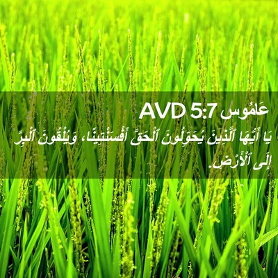 Picture 02 - عَامُوس 5:7 AVD - يَا أَيُّهَا ٱلَّذِينَ - Bible Verse Picture