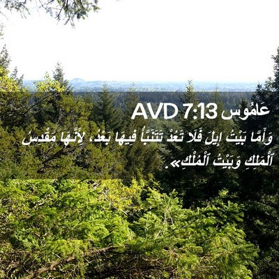 Picture 02 - عَامُوس 7:13 AVD - وَأَمَّا بَيْتُ إِيلَ - Bible Verse Picture