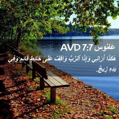 Picture 02 - عَامُوس 7:7 AVD - هَكَذَا أَرَانِي وَإِذَا - Bible Verse Picture
