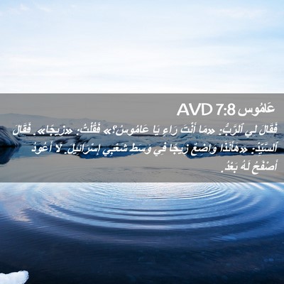 Picture 02 - عَامُوس 7:8 AVD - فَقَالَ لِي ٱلرَّبُّ: «مَا - Bible Verse Picture