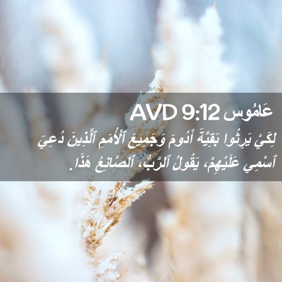Picture 02 - عَامُوس 9:12 AVD - لِكَيْ يَرِثُوا بَقِيَّةَ - Bible Verse Picture