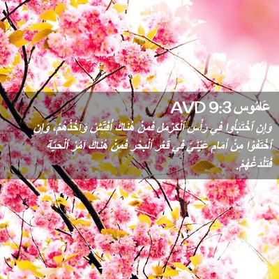 Picture 02 - عَامُوس 9:3 AVD - وَإِنِ ٱخْتَبَأُوا فِي - Bible Verse Picture