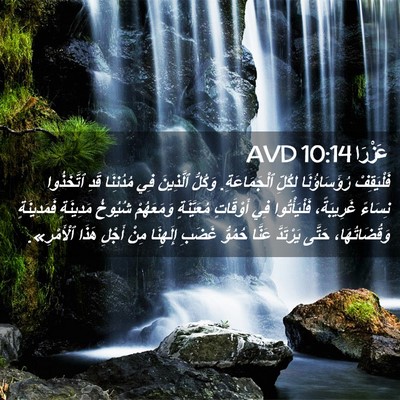 Picture 02 - عَزْرَا 10:14 AVD - فَلْيَقِفْ رُؤَسَاؤُنَا - Bible Verse Picture