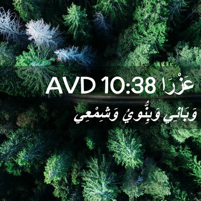 Picture 02 - عَزْرَا 10:38 AVD - وَبَانِي وَبِنُّويُ - Bible Verse Picture