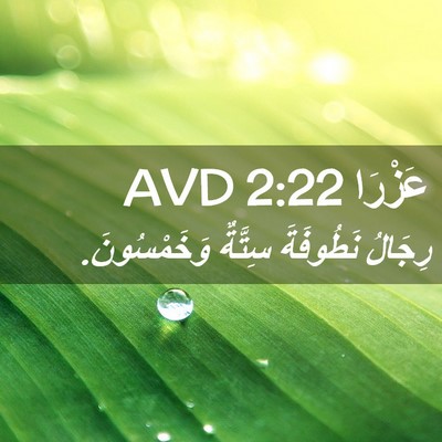 Picture 02 - عَزْرَا 2:22 AVD - رِجَالُ نَطُوفَةَ سِتَّةٌ - Bible Verse Picture