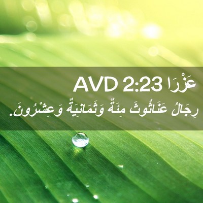 Picture 02 - عَزْرَا 2:23 AVD - رِجَالُ عَنَاثُوثَ مِئَةٌ - Bible Verse Picture