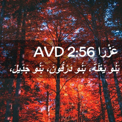 Picture 02 - عَزْرَا 2:56 AVD - بَنُو يَعْلَةَ، بَنُو - Bible Verse Picture