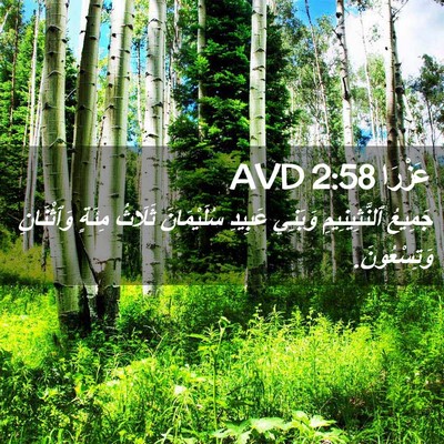 Picture 02 - عَزْرَا 2:58 AVD - جَمِيعُ ٱلنَّثِينِيمِ - Bible Verse Picture