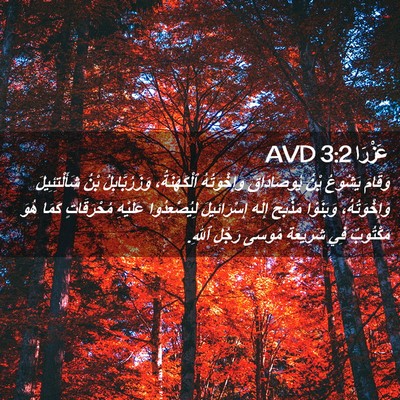 Picture 02 - عَزْرَا 3:2 AVD - وَقَامَ يَشُوعُ بْنُ - Bible Verse Picture