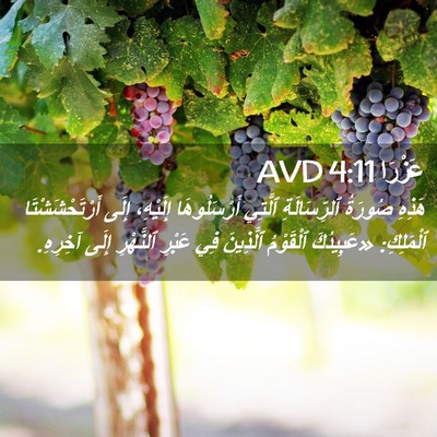 Picture 02 - عَزْرَا 4:11 AVD - هَذِهِ صُورَةُ - Bible Verse Picture