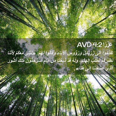 Picture 02 - عَزْرَا 4:2 AVD - تَقَدَّمُوا إِلَى - Bible Verse Picture