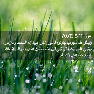 Picture 02 - عَزْرَا 5:11 AVD - وَبِمِثْلِ هَذَا - Bible Verse Picture