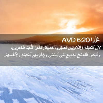 Picture 02 - عَزْرَا 6:20 AVD - لِأَنَّ ٱلْكَهَنَةَ - Bible Verse Picture