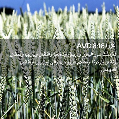 Picture 02 - عَزْرَا 8:16 AVD - فَأَرْسَلْتُ إِلَى: - Bible Verse Picture