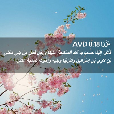 Picture 02 - عَزْرَا 8:18 AVD - فَأَتَوْا إِلَيْنَا - Bible Verse Picture