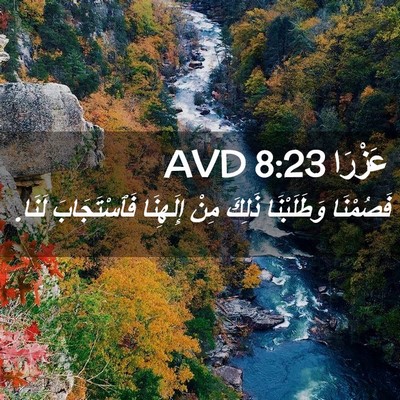 Picture 02 - عَزْرَا 8:23 AVD - فَصُمْنَا وَطَلَبْنَا - Bible Verse Picture