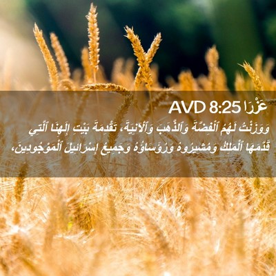 Picture 02 - عَزْرَا 8:25 AVD - وَوَزَنْتُ لَهُمُ - Bible Verse Picture
