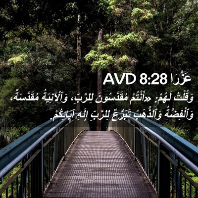 Picture 02 - عَزْرَا 8:28 AVD - وَقُلْتُ لَهُمْ: «أَنْتُمْ - Bible Verse Picture
