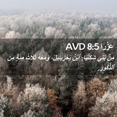 Picture 02 - عَزْرَا 8:5 AVD - مِنْ بَنِي شَكَنْيَا: - Bible Verse Picture